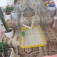 قفس پرنده