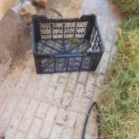 سبد گوجه۱۴ کیلویی
