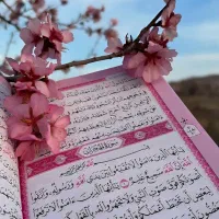 استخاره قرآن،فال تاروت،سوزاندن زاغ،ذکر تمام واقعیت