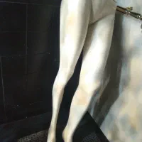 مانکن