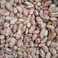 حبوبات لوبیاقرمزچیتی لپه عدس نخودتخمه شکر روغن