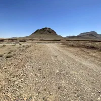 زمین کشاورزی مناسب سرمایه گذاری