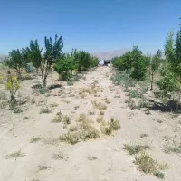باغ