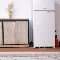یخچال فیلور و بوفه