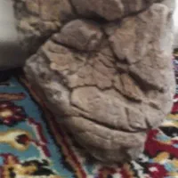 کالا واجناس قیمتی