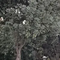 چاه دربستی شاپور آباد برخوار