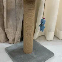 اسکرچر گربه و تشک کربه