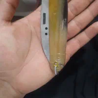 چاقو