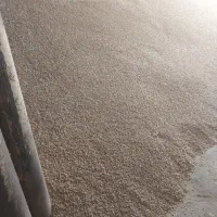 جو دیم تمیز درجه یک