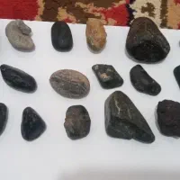 تعدادی شهاب سنگ کندریت با جذب آهن ربا