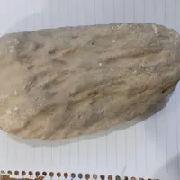 سنگ فسیل