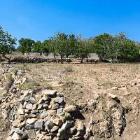 زمین ۴۰۰ متری روستای فردو نزدیک قنات عسه