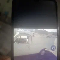 وانت