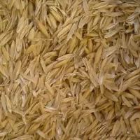 پوست برنج...اوج