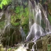 رزروبلیط قطار همه روزه (بیشه8خرداد اتوبوس 25نفره)