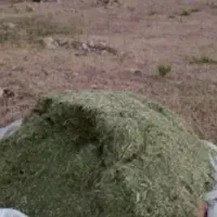 کاه یونجه