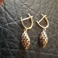 ۴گرم گوشواره ۲۰۰بالای تابلو