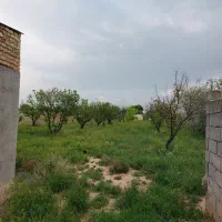 باغ پسته زمین مسکونی روستای محمودیان