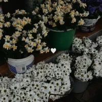 آینده کسب و کاری بهتر را با ما تجربه کنید