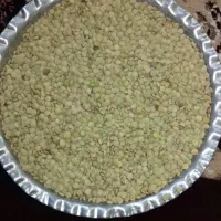 عدس