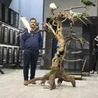 کاسکو کاکادو گرینچیک راهب شاه طوطی اقساطی