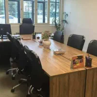 منشی و دستیار خانم