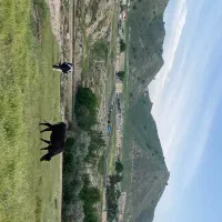 زمین بج دشمن زیاری نوراباد