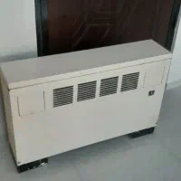 فن کوئل