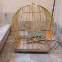قفس بزرگ همراه با وسیله