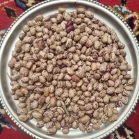 لوبیا چیتی  گو چیتی