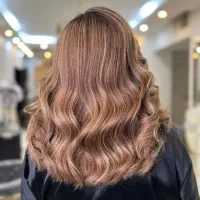 رنگ و لایت رایگان