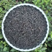 چای سرگل لاهیجان
