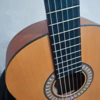 گیتار پارسی M2