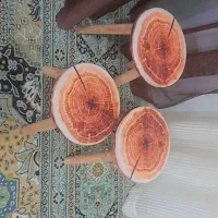 پایه گلدون چوبی روکش چرمی طرح چوب ضداب