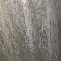فروش سیم خاردار
