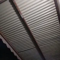 مستاجرم