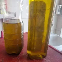 روغن خشخاش