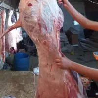قصابی ذبح