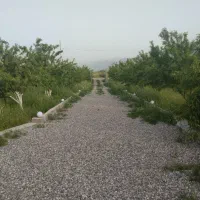 فروش-باغ-ویلا-با-تمام-امکانات