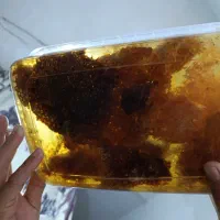 عسل طبیعی طبیعی درجه یک ب شرط آزمایش