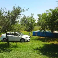 1100مترزمین-جنگلی-رشت-جاده-شاهزاده-ابراهیم