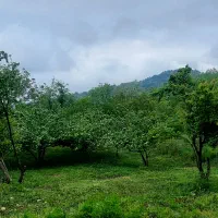 فروش زمین مسکونی