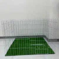 پارک سگ