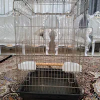 قفس پرنده (1033)