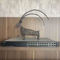 سوئیچ سیسکو SG300-28 - گیگابیتی-مناسب شرکت و سرور