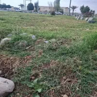 فروش-زمین-جزیره-مینو