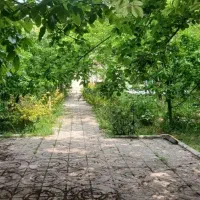 زمین معاوضه با خودرو