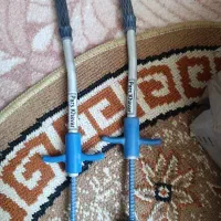 قرص خوران گوسفند