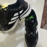 یک عدد کتونی نو سایز ۴۳