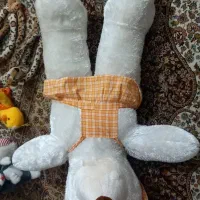 خرس بزرگ